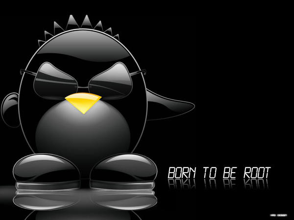 Projet Born2beRoot - Configuration serveur Linux sécurisé